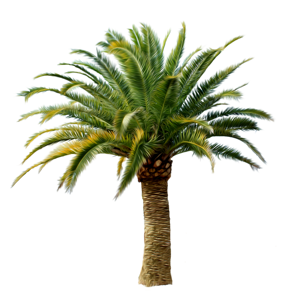 Palm Trees On Island Transparent Free PNG