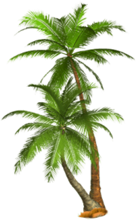 Palm Trees On Island Transparent PNG