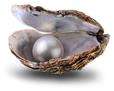 Pearl In Shell Background PNG Image