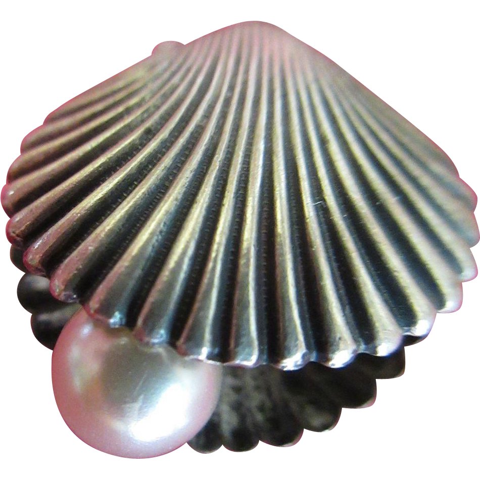Pearl In Shell Download Free PNG