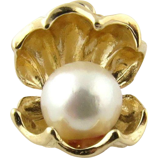 Pearl In Shell PNG HD Quality