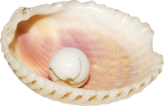 Pearl In Shell Transparent Free PNG
