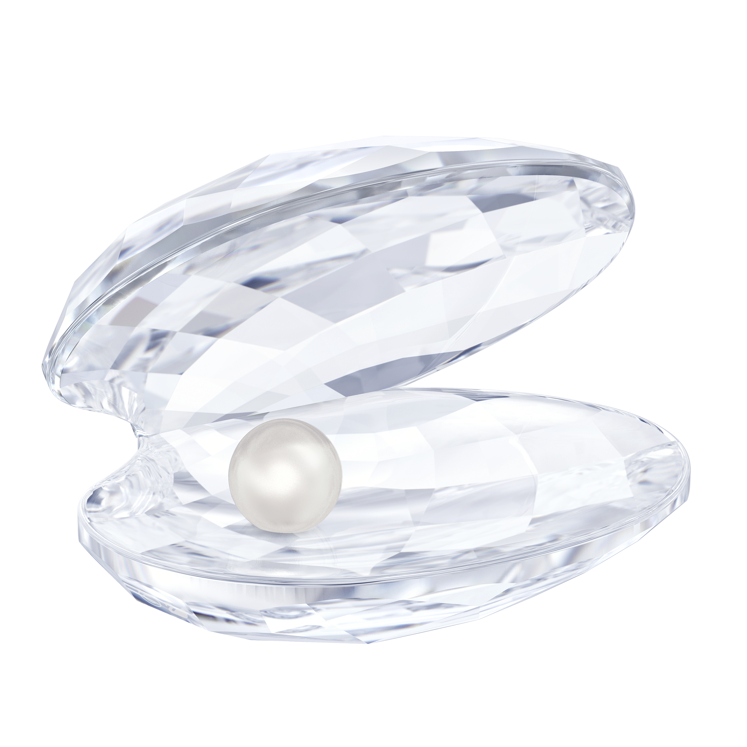 Pearl In Shell Transparent PNG