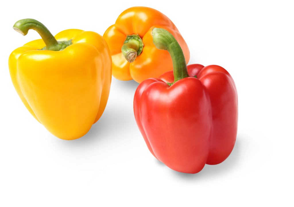 Peppers Download Free PNG