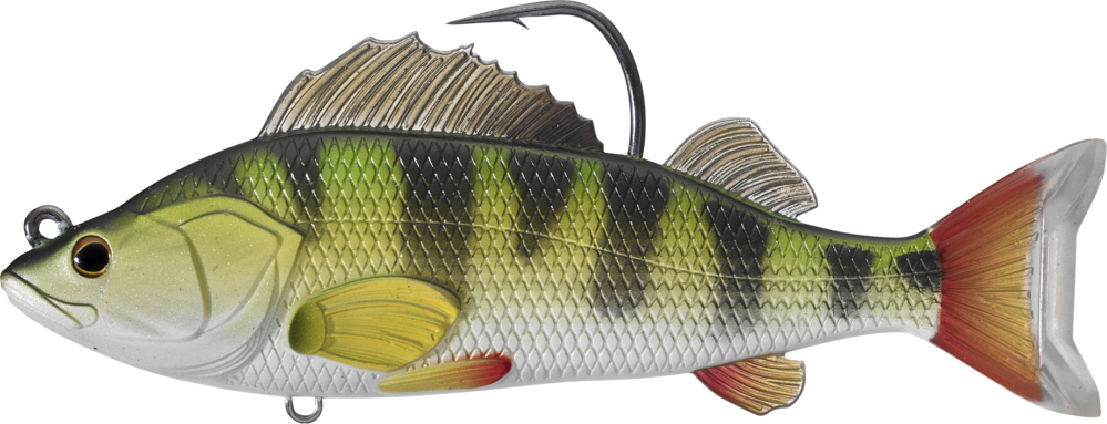 Perch Download Free PNG