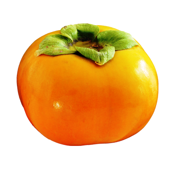 Persimmons Background PNG Image
