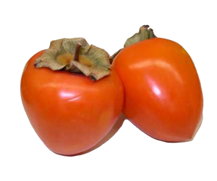 Persimmons Download Free PNG
