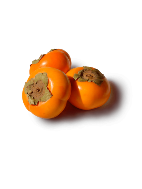 Persimmons No Background
