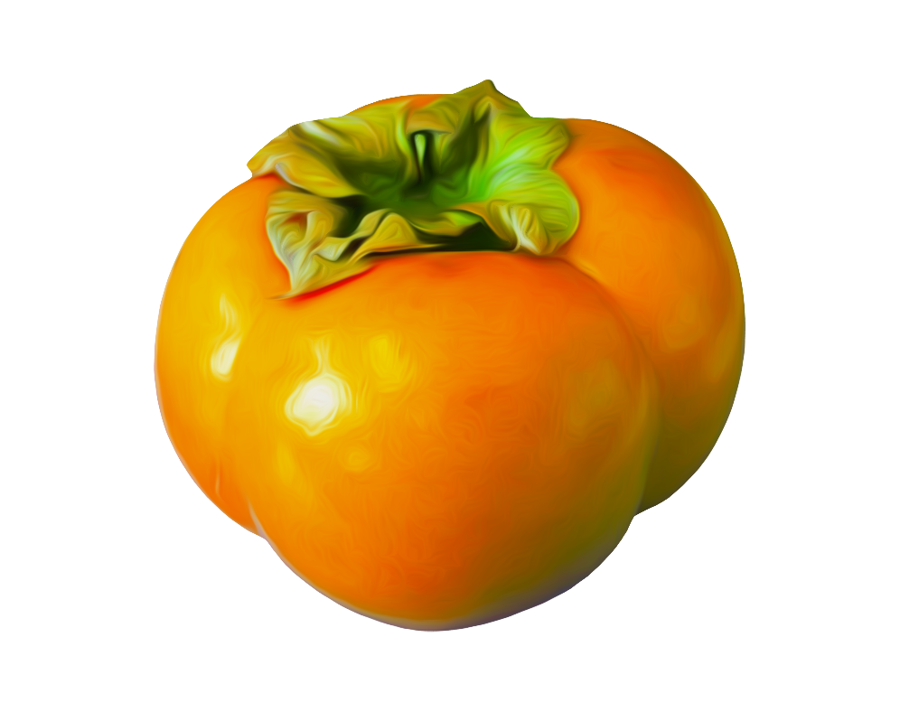Persimmons PNG Clipart Background