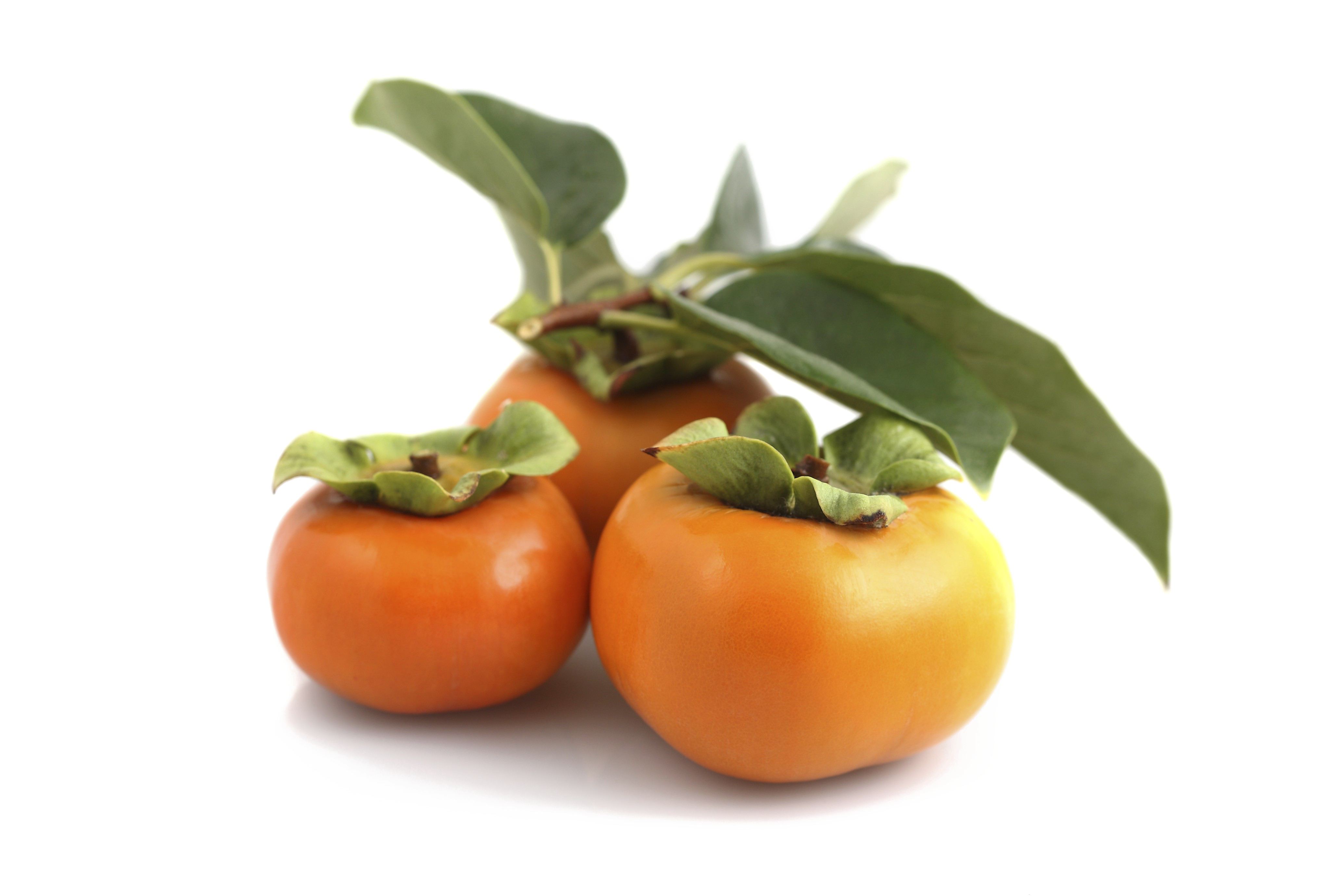 Persimmons PNG Free File Download