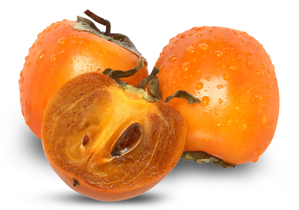 Persimmons PNG HD Quality
