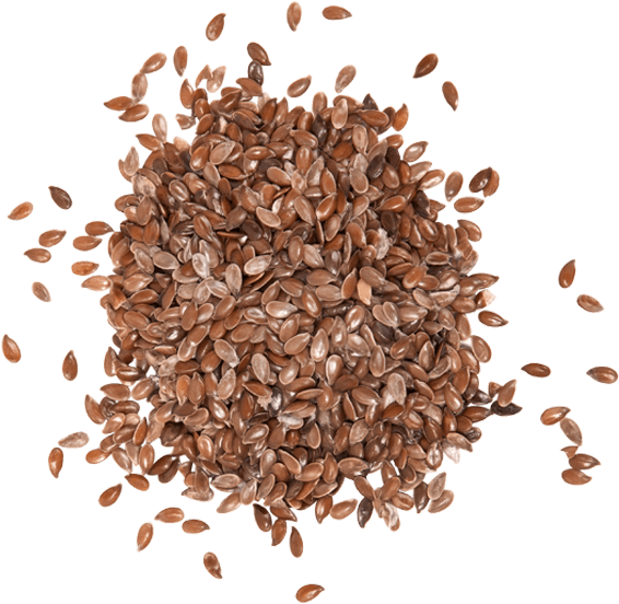 Pile Of Chia Seeds Transparent File
