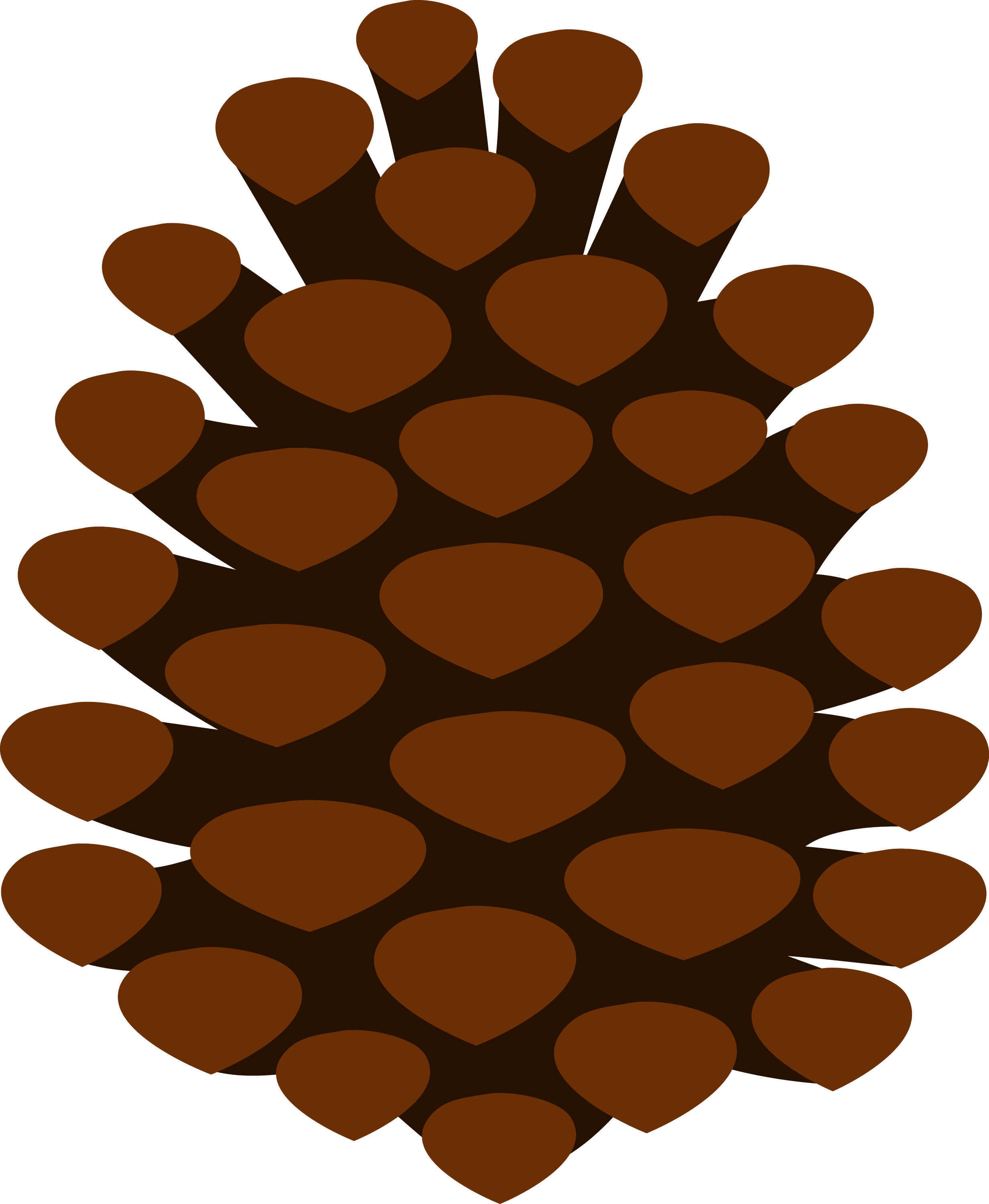 Pine Cone Illustration Background PNG