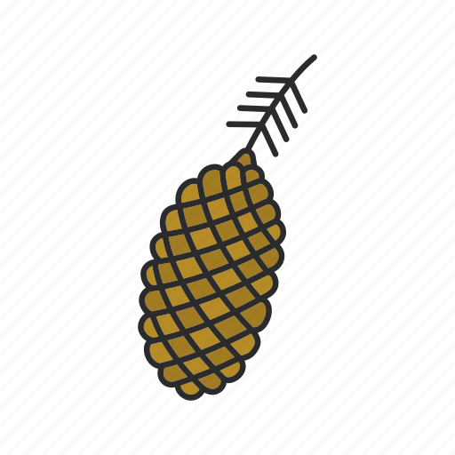 Pine Cone Illustration PNG HD Quality