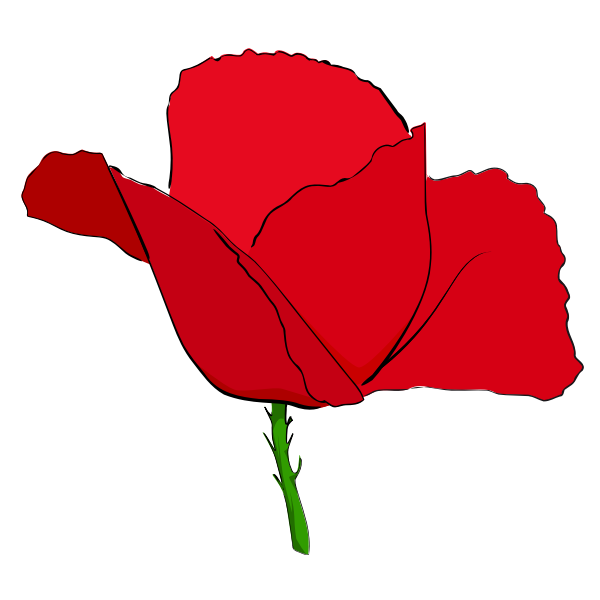 Poppy Long Stem PNG Clipart Background