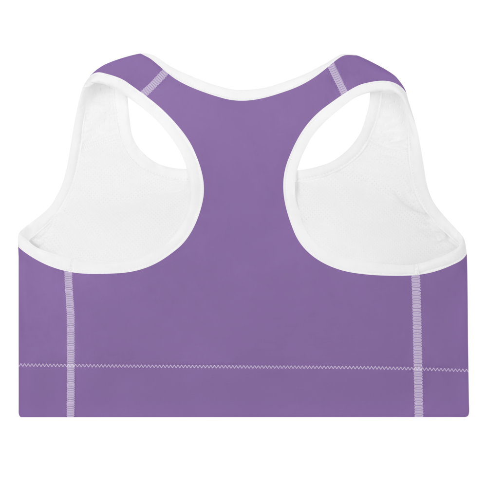 Purple Bra PNG Images Transparent Background | PNG Play