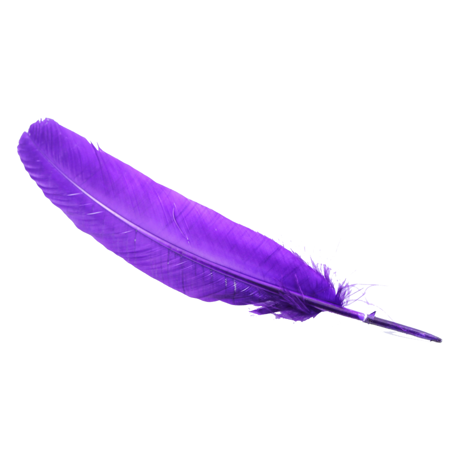 Purple Feather Download Free PNG