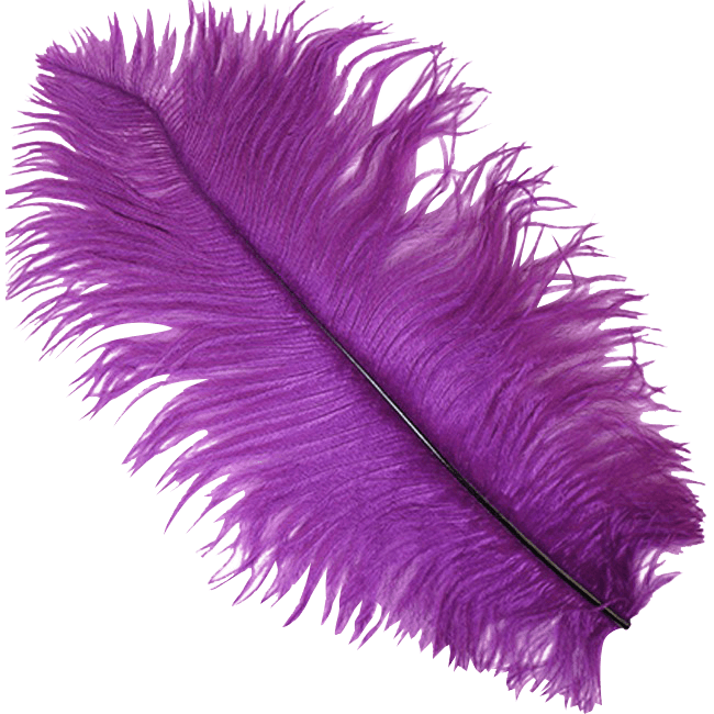 Purple Feather PNG Clipart Background