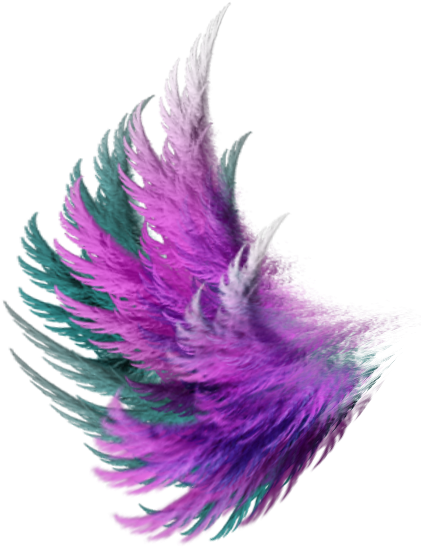 Purple Feather PNG Photos
