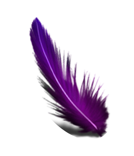 Purple Feather Transparent Image
