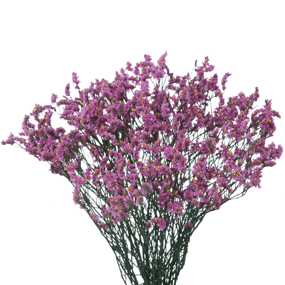 Purple Flower Free PNG