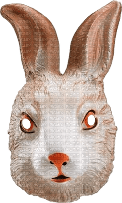 Rabbit Mask Transparent PNG