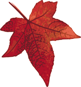 Red Maple Leaf Download Free PNG