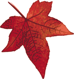 Red Maple Leaf PNG Clipart Background