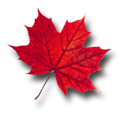 Red Maple Leaf PNG Photos
