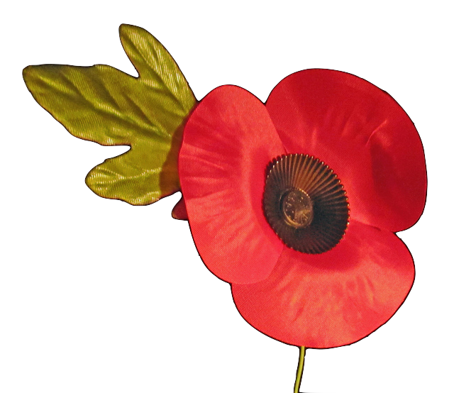 Red Poppy Background PNG Image