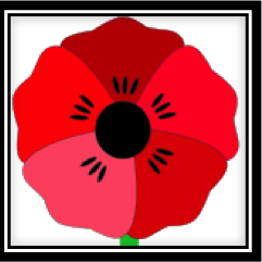 Red Poppy PNG Free File Download