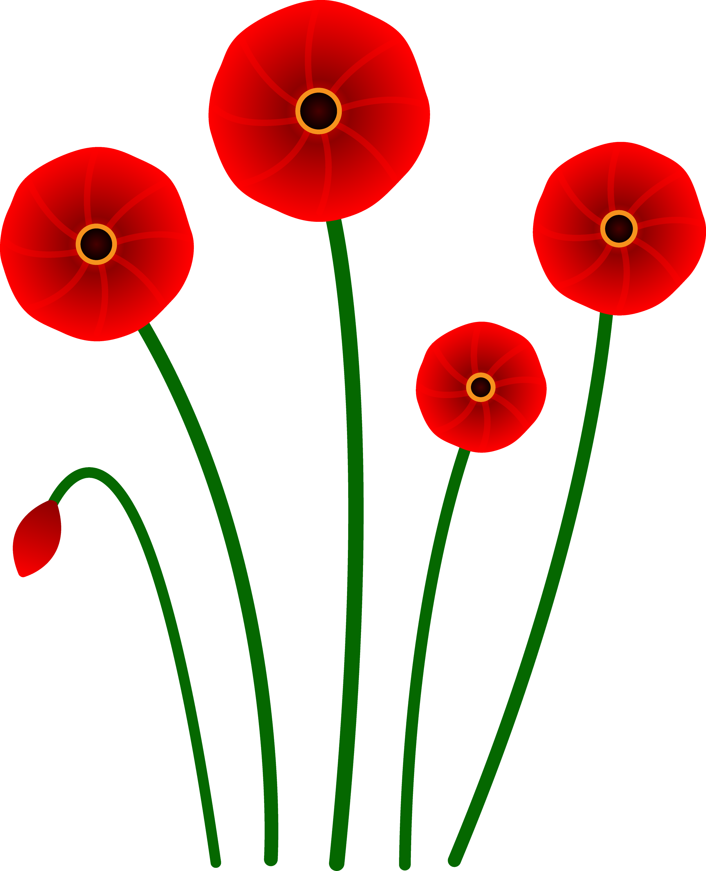 Red Poppy PNG HD Quality