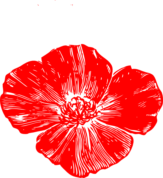 Red Poppy Transparent Free PNG