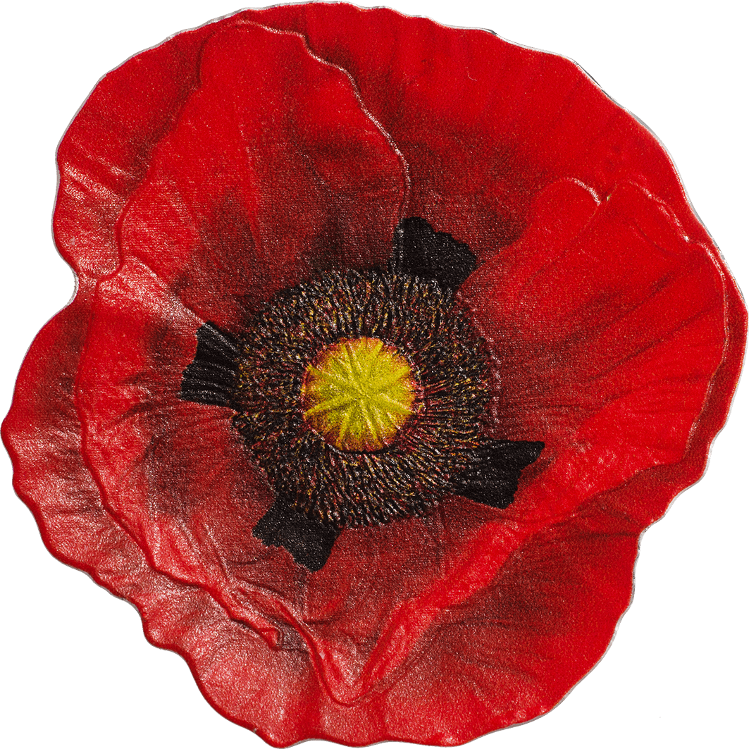Red Poppy Transparent Image