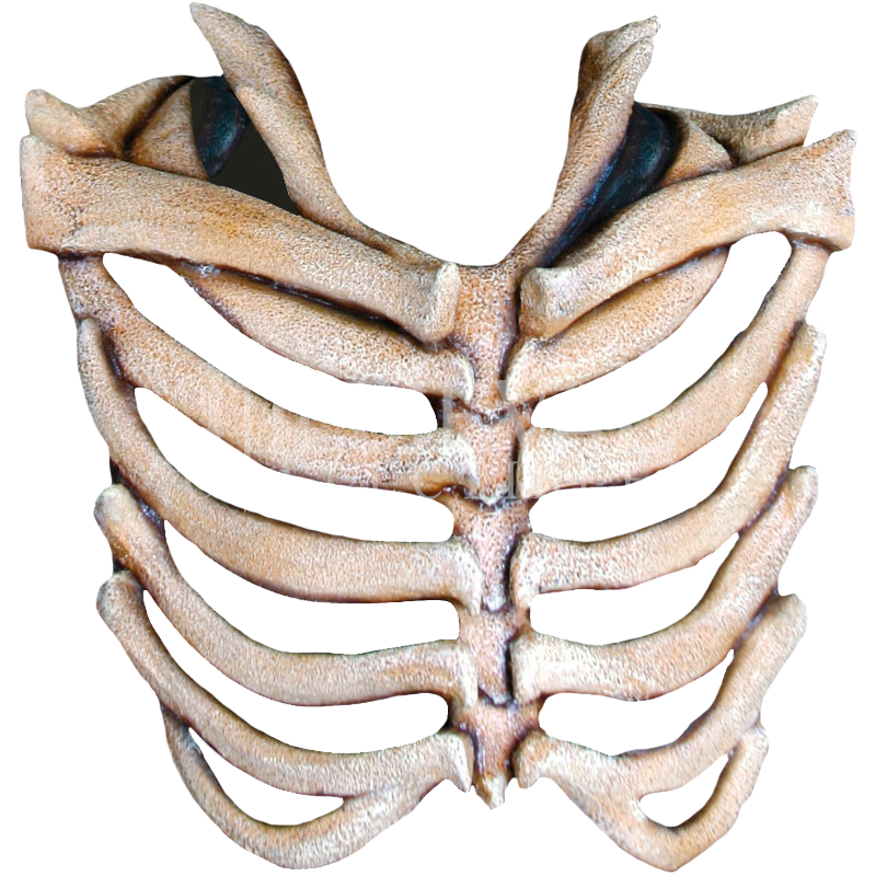 Rib Cage Illustration PNG Images HD