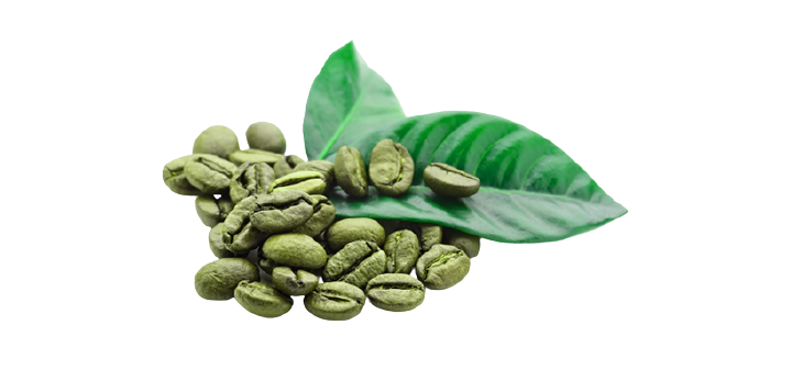 Roasted Coffee Beans And Leaves PNG Clipart Background
