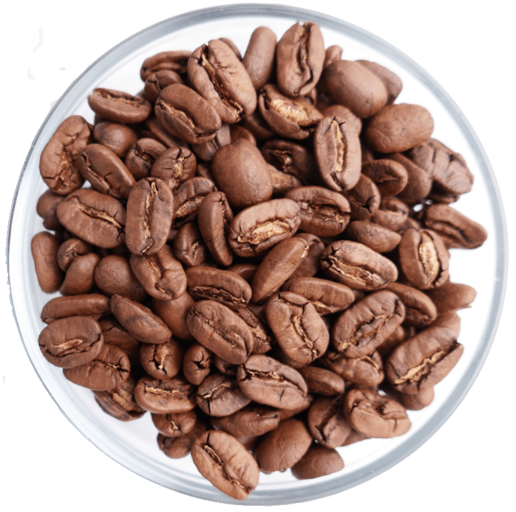 Roasted Coffee Beans Transparent Free PNG
