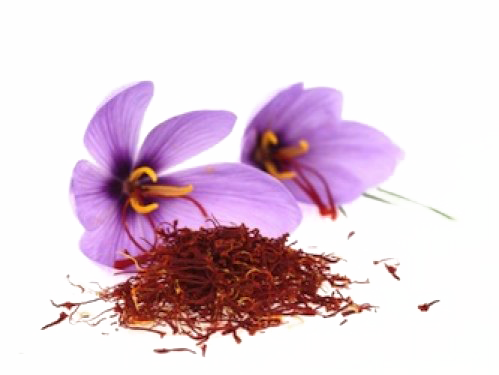 Saffron Flower PNG Clipart Background