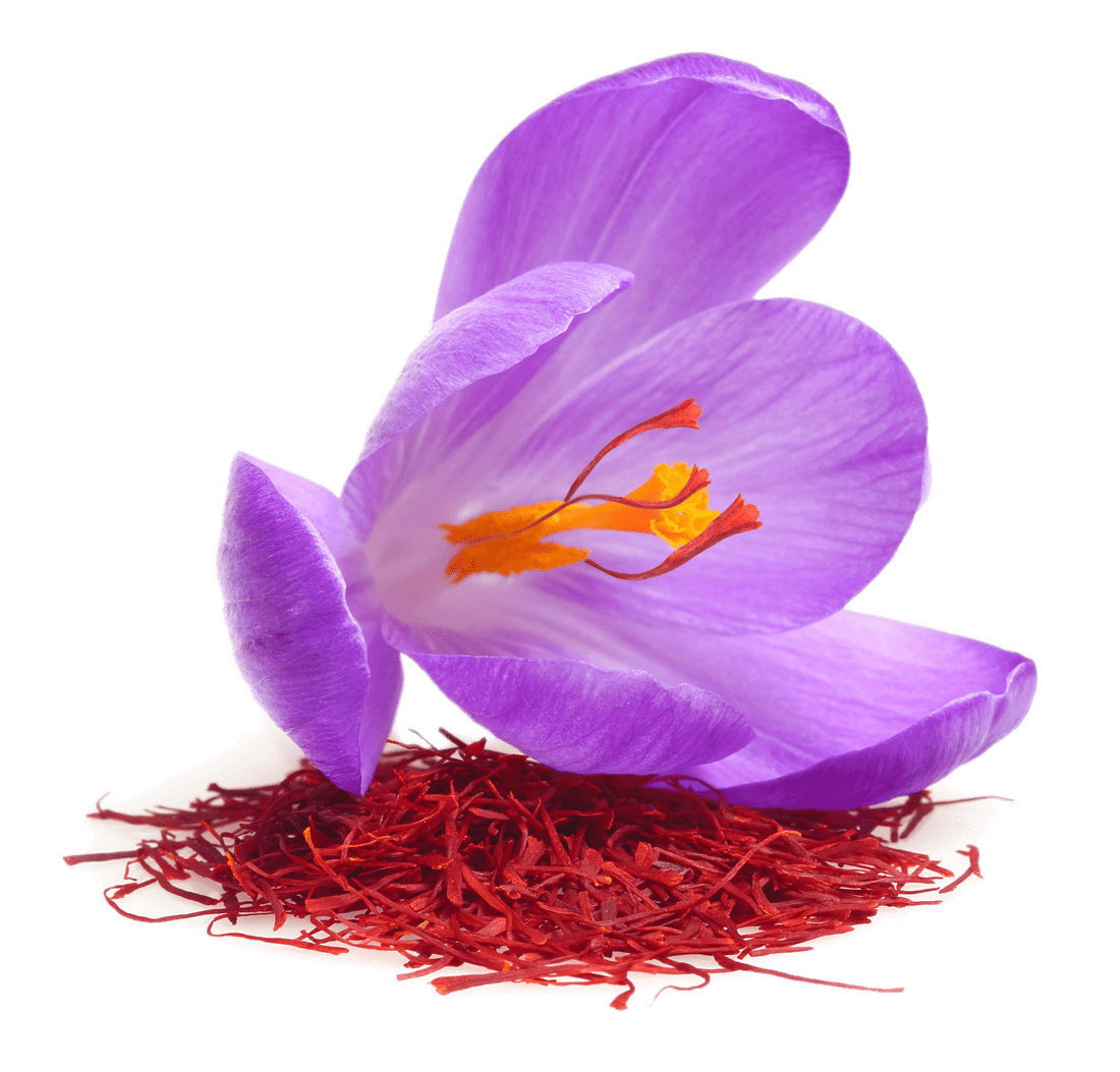 Saffron Flower PNG HD Quality