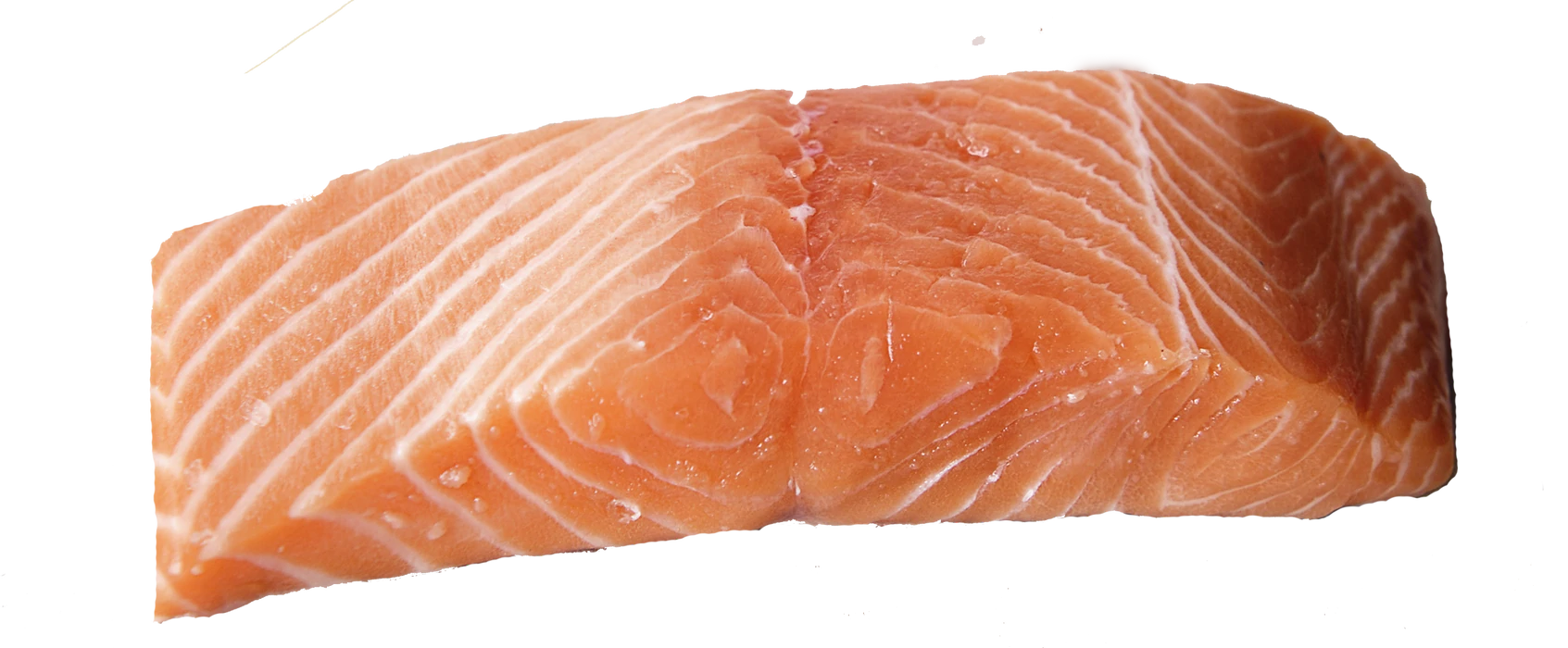 Salmon Download Free PNG