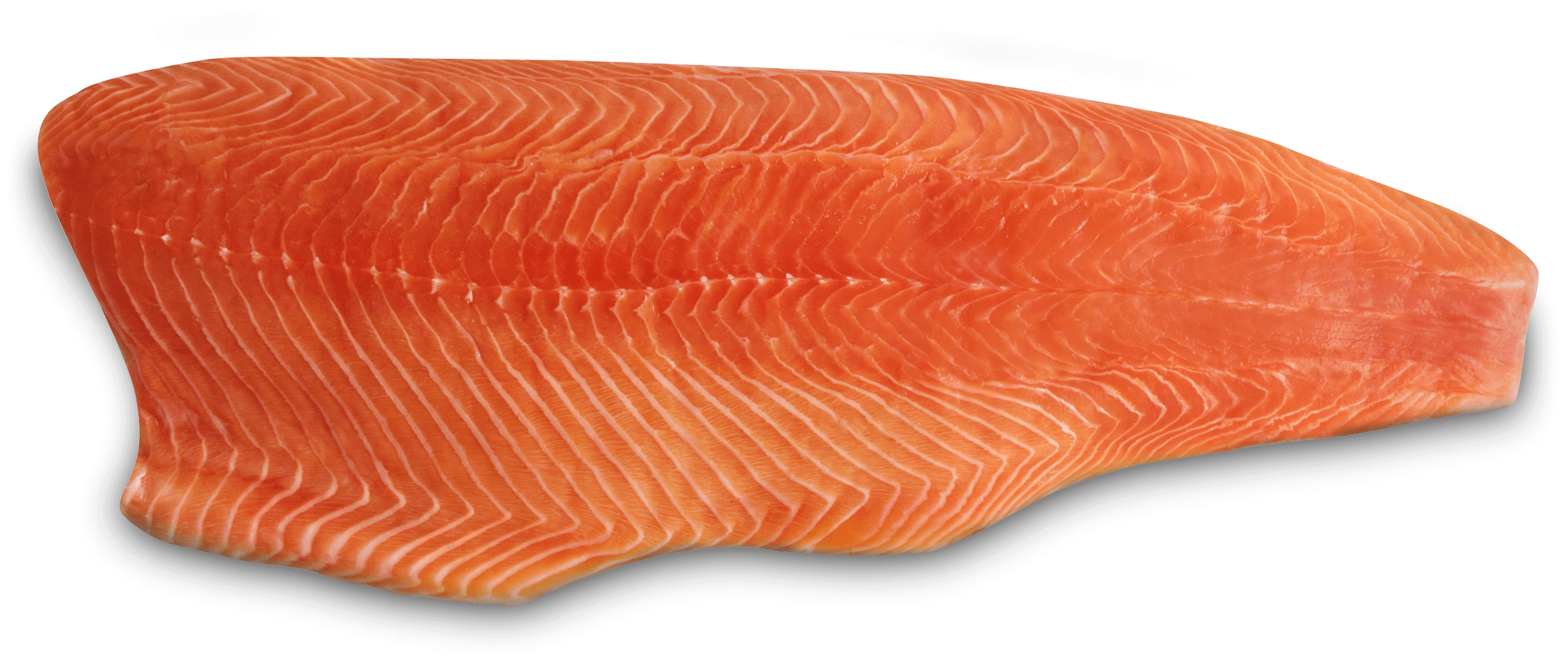 Salmon Fillets PNG Clipart Background