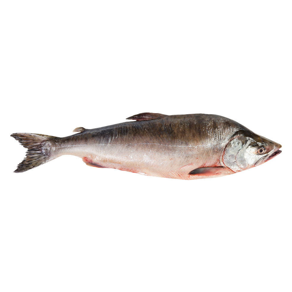 Salmon Transparent Image