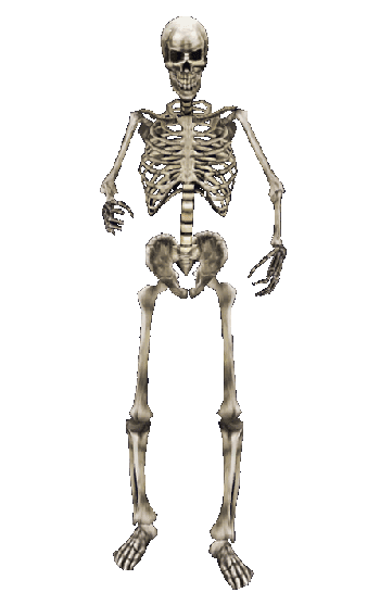 Skeleton Posing Background PNG Image