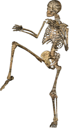 Skeleton Posing PNG Clipart Background