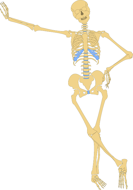 Skeleton Posing PNG HD Quality