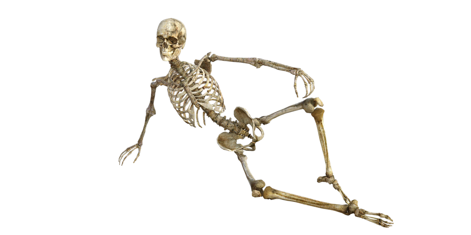 Skeleton Posing Transparent File