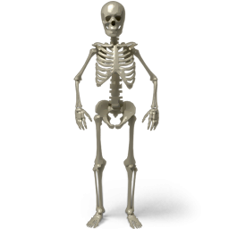 Skeleton Posing Transparent Images