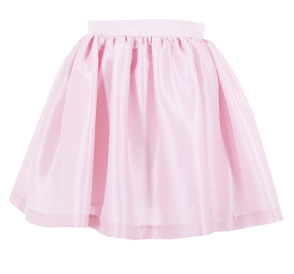 Skirt Pink No Background