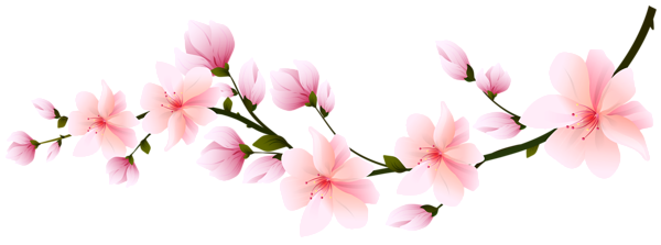 Spring Branch PNG Clipart Background