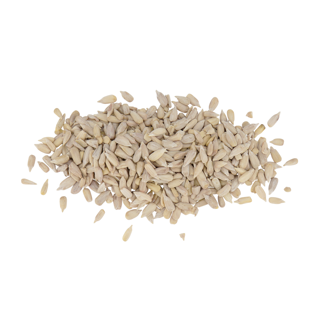 Sunflower Seed Free PNG